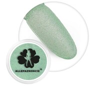 Brokat do paznokci w słoiczku Nr 132 2g Allepaznokcie