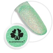 Brokat do paznokci w słoiczku Nr 26 2g Allepaznokcie