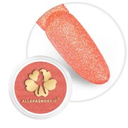 Brokat do paznokci w słoiczku Nr 113 2g Allepaznokcie