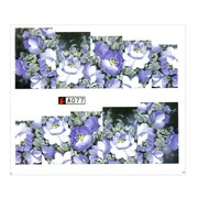 Naklejki wodne do paznokci arkusz 6,5 x 5,5cm na 10 palców A077 Allepaznokcie