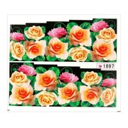 Naklejki wodne do paznokci arkusz 6,5 x 5,5 cm na 10 palców yb Nr 1897 Allepaznokcie