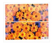 Naklejki wodne do paznokci arkusz 6,5 x 5,5 cm na 10 palców Nr 1610 Allepaznokcie