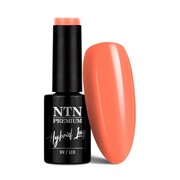 Lakier hybrydowy LED/UV Gel Polish NTN Premium Delight Sorbet Collection Nr 152 5 g NTN Premium