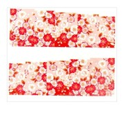 Naklejki wodne do paznokci arkusz 6,5 x 5,5 cm na 10 palców yb Nr 589 Allepaznokcie