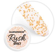 Pyłek do paznokci Rush Effect Allepaznokcie 1 g Nr 10 Allepaznokcie