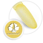 Brokat do paznokci w słoiczku Nr 110 2g Allepaznokcie