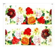 Naklejki wodne do paznokci arkusz 6,5 x 5,5cm na 10 palców yb Nr 947 Allepaznokcie