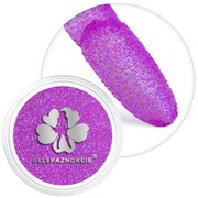 Brokat do paznokci w słoiczku Nr 99 2g Allepaznokcie