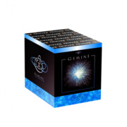 Gemini TXB212 - wyrzutnia 16 strzałów 20 mm Triplex F2 Triplex