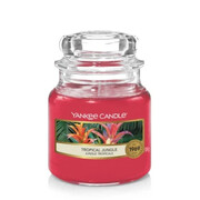 Świeca Yankee Candle Tropical Jungle, mały słoik (104g) Yankee Candle