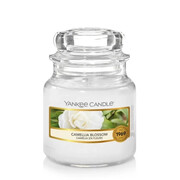 Świeca Yankee Candle Camellia Blossom, mały słoik (104g) Yankee Candle