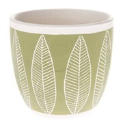 Osłonka ceramiczna 12,5 x 13,5 x 13,5 cm (zielona, motyw roślinny) Dakls