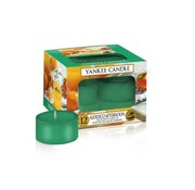 Tealight Yankee Candle tealight Alfresco Afternoon, tealight Yankee Candle