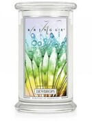 Świeca Kringle Candle Dewdrops, duży słoik (623g) Kringle Candle