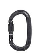 Karabinek wspinaczkowy CT Pillar Pro SG - black karabinek wspinaczkowy climbing technology pillar pro sg black 1634539874