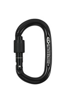 Karabinek wspinaczkowy CT Pillar CF SG (Screw Gate) - black karabinek climbing technology pillar cf sg screw gate black_3