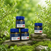 3 x Miód Manuka MGO™400+ 250g + Miód Gratis Manuka Health New Zealand Limited