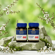2x Miód Manuka MGO™ 250+ 500g Manuka Health New Zealand Limited