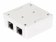 NETRACK 106-11 Netrack gniazdo kompletne natynkowe 2xRJ45 8p8c FTP Cat5e LSA NETRACK