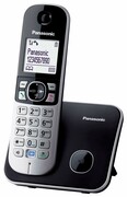 Telefon bezprzewodowy Panasonic KX-TG6811PD