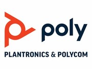 POLY RealPresence Group 300 Dual Display Software License. Valid only for Group 300. Maintenance Contract Required. POLY