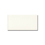FABRESA UNICOLOR PLAQUETA BLANCO MATE 10x20 17108