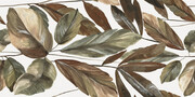 BALDOCER GIARDINO SATIN 60X120