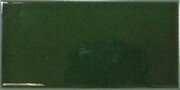 EQUIPE EVOLUTION VICTORIAN GREEN 7,5X15