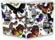 Sztuka Rodzinna Notes Gee Butterfly 10x14 Narcissus Darmowy odbiór w 26 miastach!