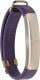 Smartband Jawbone UP2