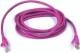 Patchcord CAT5e, 0,25m, magenta (95208) Darmowy odbiór w 26 miastach!