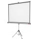 Ekran projekcyjny Nobo Matt White 1902396, 43 Szybka dostawa! Raty od 10,59 zł