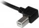 Kabel USB StarTech USB A na USB B(kątowa) 2M (USBAB2ML) Darmowy odbiór w 26 miastach!