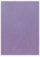 PAPERBLANKS Notatnik Puro Plum A6/128 kartek w linie Darmowy odbiór w 26 miastach!