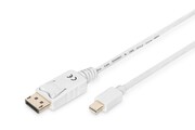 Digitus Kabel połączeniowy Displayport 4K 60Hz UHD Typ miniDP/DP M/M biały 2m AKASSA10220