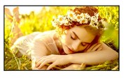 LG Electronics Monitor wielkoformatowy 75UL5Q-E 500cd/m2 UHD 24/7 ULLGE075L75UL5Q