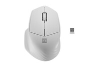 Natec Mysz bezprzewodowa Siskin 2 1600 DPI Bluetooth 5.0 + 2.4GHz, biała UMNATRBD0000029