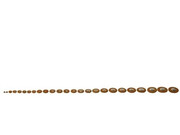 Pisoni Poduszki Flet 16,5 mm - WYPRZEDAŻ