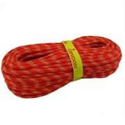 Tendon Smart 10,0 mm na metry Tendon