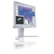 Monitor LCD Philips 170P7EG