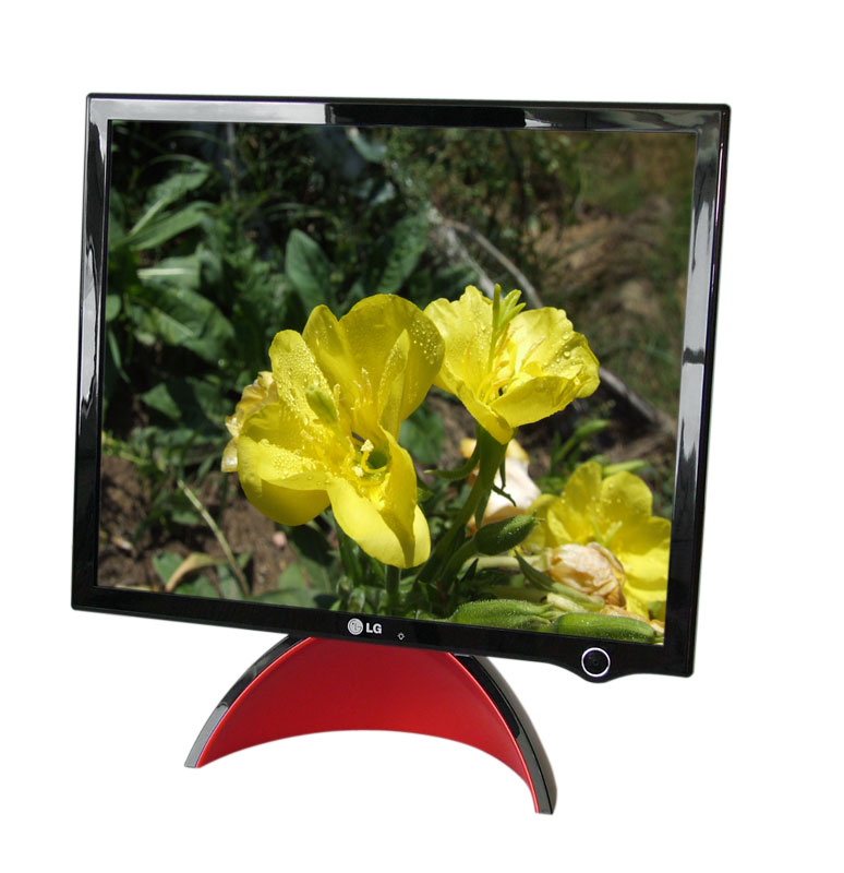 Monitor LCD LG Flatron L1900J