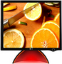 Monitor LCD LG Flatron L1900J