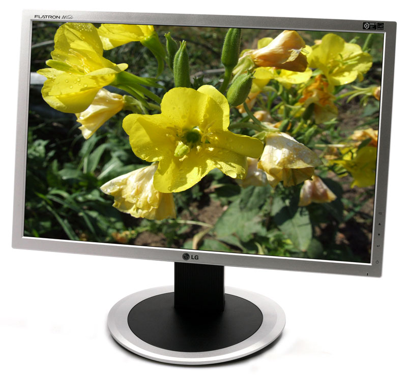 Monitor LCD LG L204WT