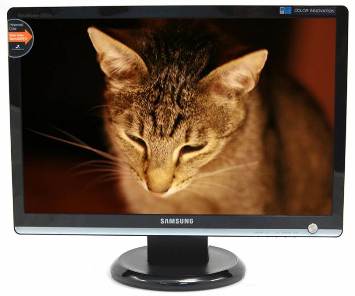 Monitor LCD Samsung SyncMaster 226CW