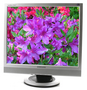 Monitor LCD Samsung SyncMaster 913BM