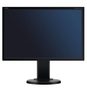 Monitor LCD Nec E222W