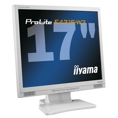 Monitor LCD Iiyama ProLite E431SW