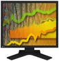Monitor LCD Eizo S1902SH