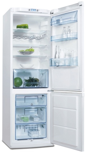 Chłodziarko-zamrażarka Electrolux ERB 36402