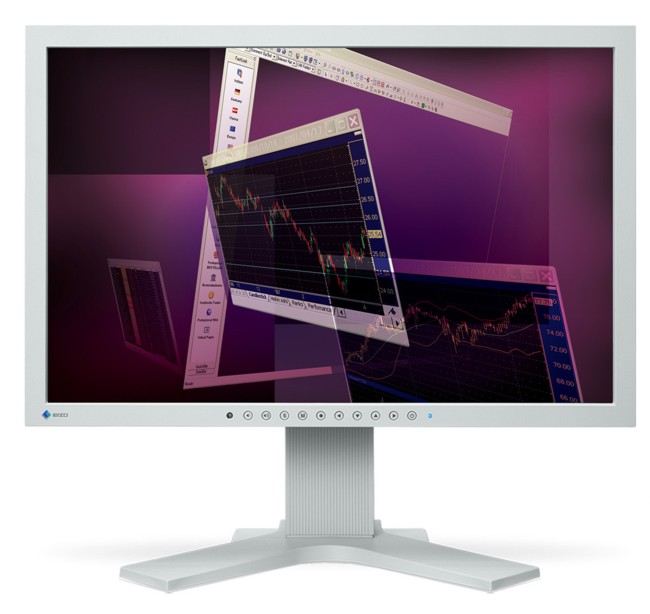 Monitor LCD Eizo EV2023WH